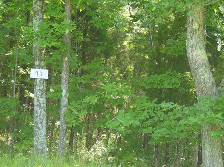 Lot 97 Turkey Ridge Wildwood Acres : Owenton : Owen County : Kentucky