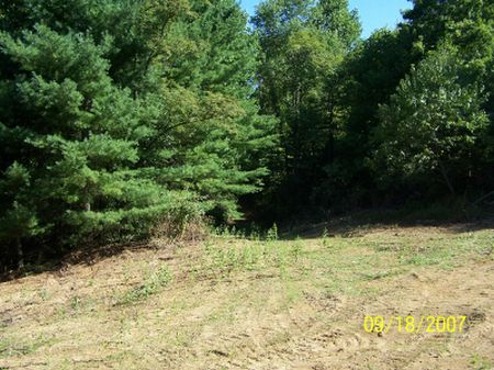 13.5 Acres in Fries, Wooded, Level : Fries : Grayson County : Virginia