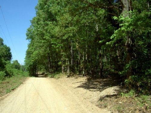3 Acres Private, Wooded, Elec Avail : Date : Howell County : Missouri
