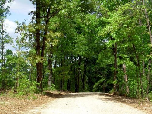 9.5 Acres Near Lake Of The Ozarks : Camdenton : Camden County : Missouri