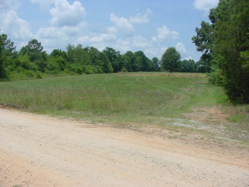 4.73 Acre Home-site : Elberton : Elbert County : Georgia