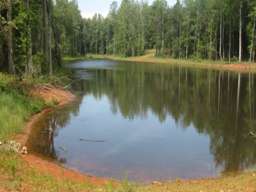 20 Acres Mt Bethel : Harmony : Iredell County : North Carolina