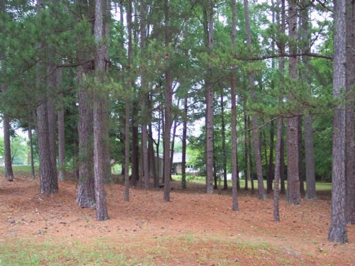 17 Lots in Established Neighborhood : Cedartown : Polk County : Georgia