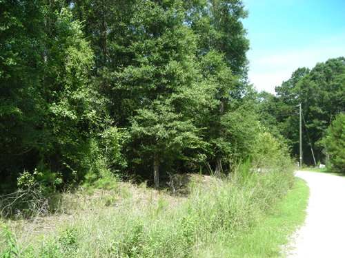 Large Acre Homesite : Saint Stephens : Berkeley County : South Carolina
