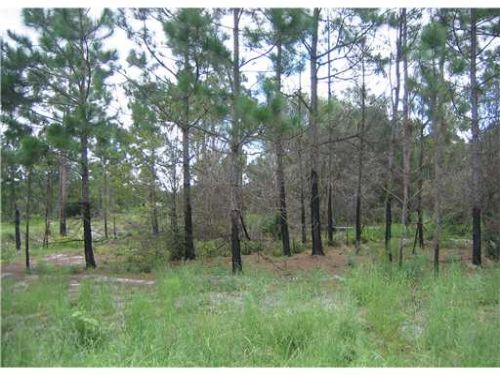 Montura Estates, Fl 1.25 Acres 7k : Labelle/clewiston Area : Hendry County : Florida