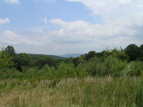 Valley View, Wooded, Meadow : Dunlap : Sequatchie County : Tennessee