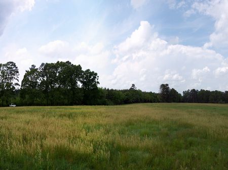 16 Ac. Rolling Pastureland : Liberty : Amite County : Mississippi