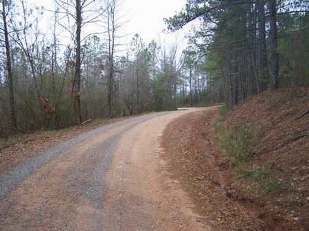 6.01 Wooded Homesite : Ashland : Clay County : Alabama