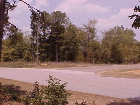Corner Lot yards From Clark Hill : Elberton : Elbert County : Georgia