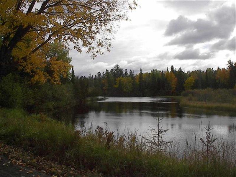 19043 Collins Rd : Baraga : Baraga County : Michigan