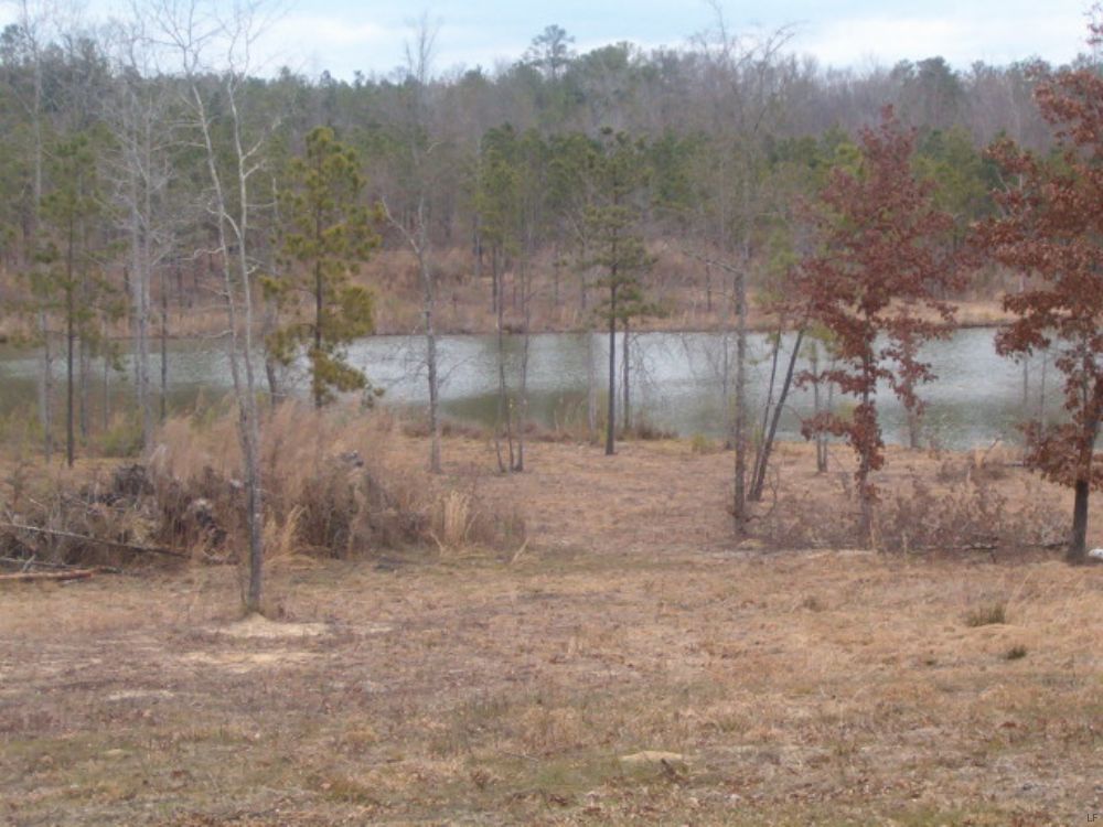 Only 1 Saddle Walk Tract Left : Roberta : Crawford County : Georgia