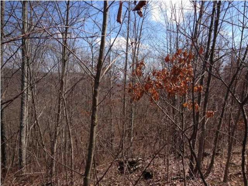 7.7+/- Acres Owner Financing : South Pittsburg : Marion County : Tennessee