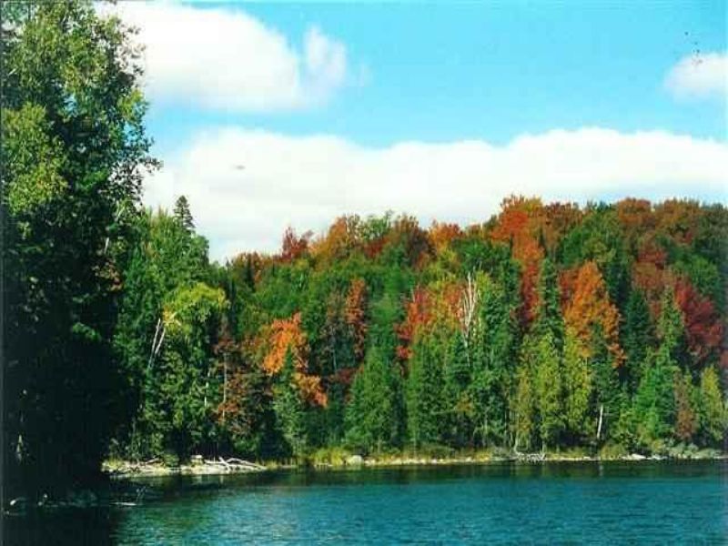 Lot 31 Secluded Point Rd, 1071364 : Michigamme : Baraga County : Michigan