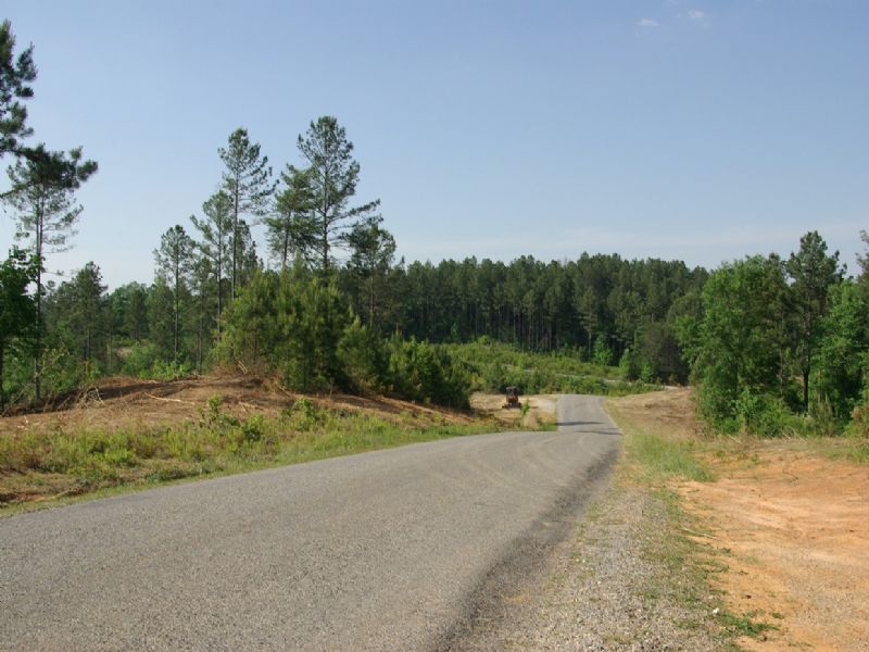 Near Birmingham - Tract 1 Of 28 : Odenville : Jefferson County : Alabama