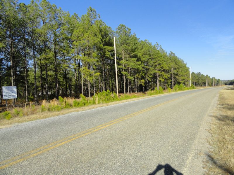 3 Level Wooded Acres, County Water : Fort Valley : Crawford County : Georgia