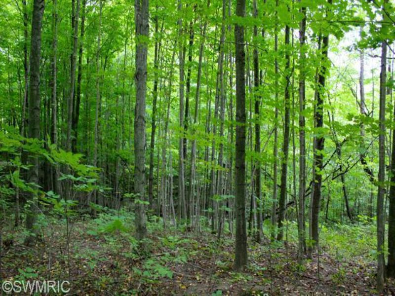 Wooded Acreage : Allegan : Allegan County : Michigan