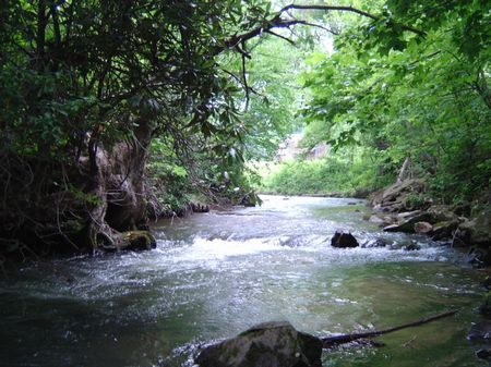 7.93 Ac Tract On Tickanetley Creek : Ellijay : Gilmer County : Georgia