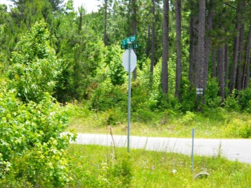 20+ Acres with Creek Frontage : Raiford : Union County : Florida