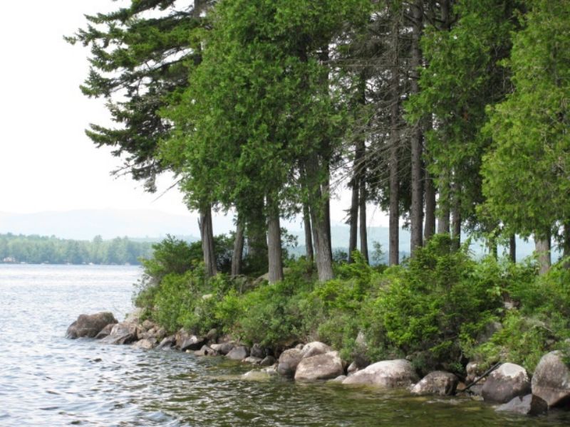 Waterfront Homes For Sale On Schoodic Lake Maine at Linda Daugherty blog