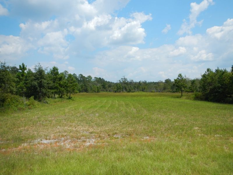19 Acres In Odum, Ga Lot for Sale in Odum, Wayne County,