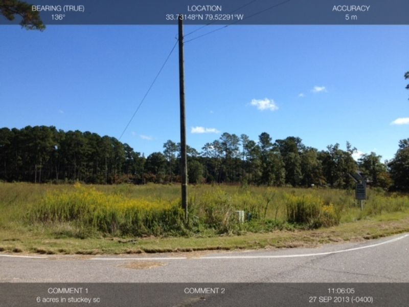 6.3 Ac Home Site Stucky Community : Hemingway : Williamsburg County : South Carolina