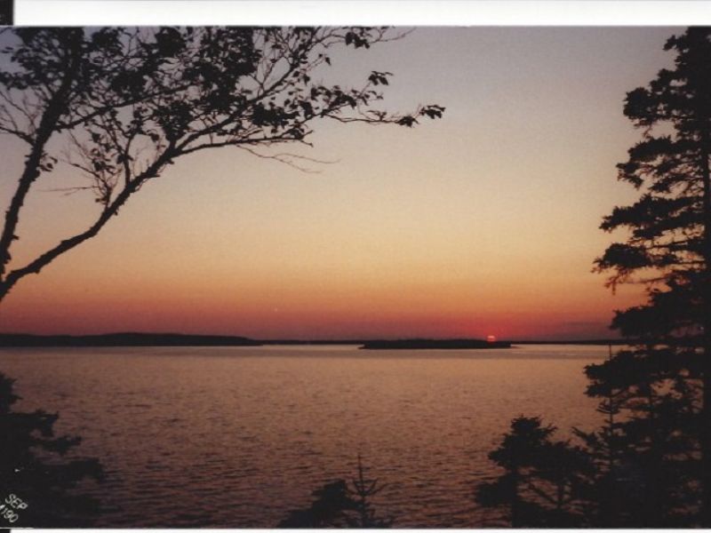 Cow Point in Roque Bluffs : Roque Bluffs : Washington County : Maine