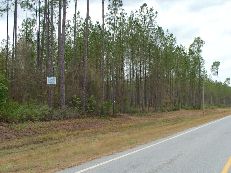 Nice Homesite in Clinch County : Homerville : Clinch County : Georgia