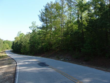 7.5 Acre Wooded Home Site : Carrollton : Carroll County : Georgia