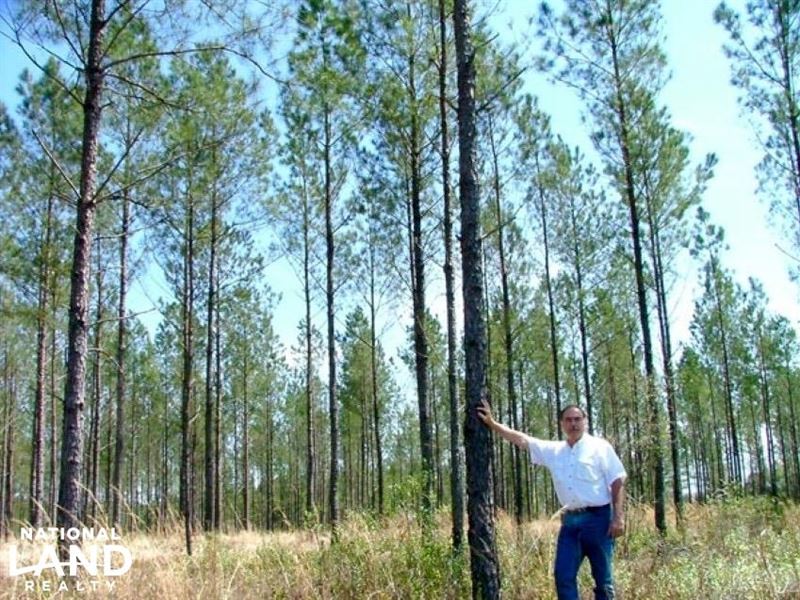 The Old Brady Road Lots, 1 : Robertsdale : Baldwin County : Alabama