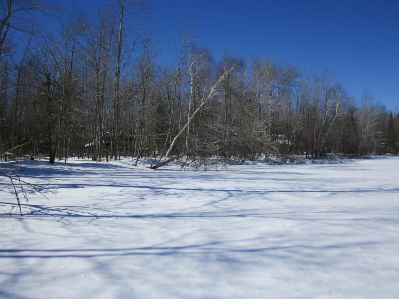 Lot On Lake Shishebogama, Lot for Sale in Wisconsin, 72644 LOTFLIP