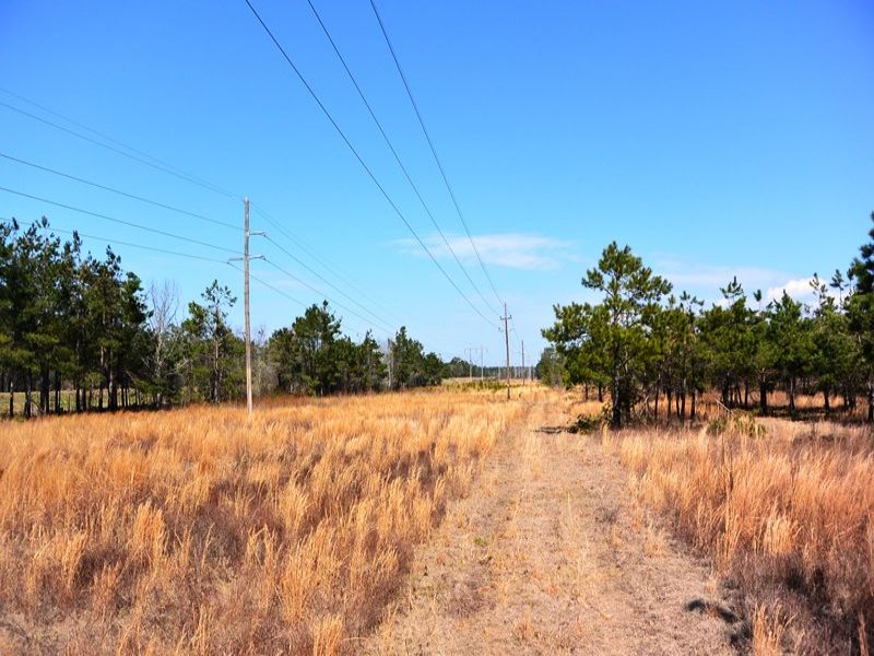 Bonneau Recreational Homesite : Bonneau : Berkeley County : South Carolina