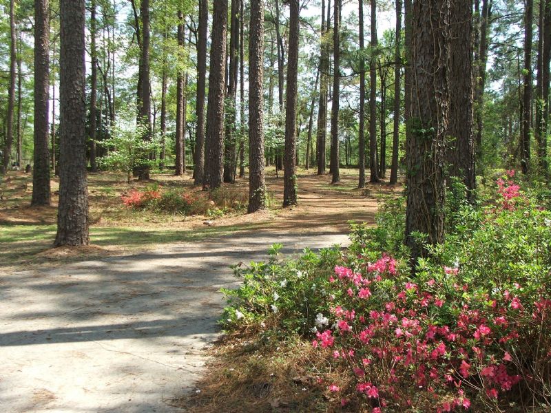 Boykin Place : Sylvania : Screven County : Georgia