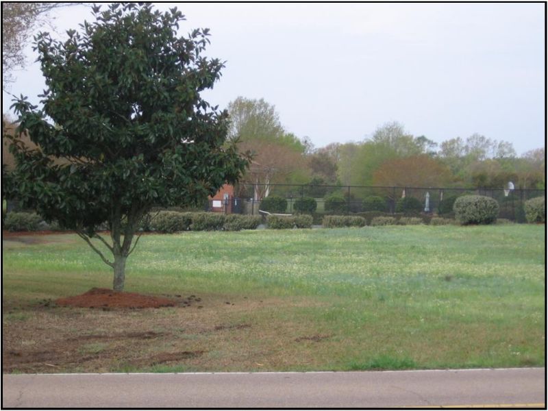 .71 Acres : Ridgeland : Madison County : Mississippi