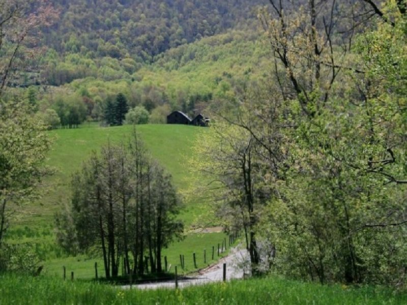 9.89 Acres W/ Views Of Blue Ridge : Elk Creek : Grayson County : Virginia