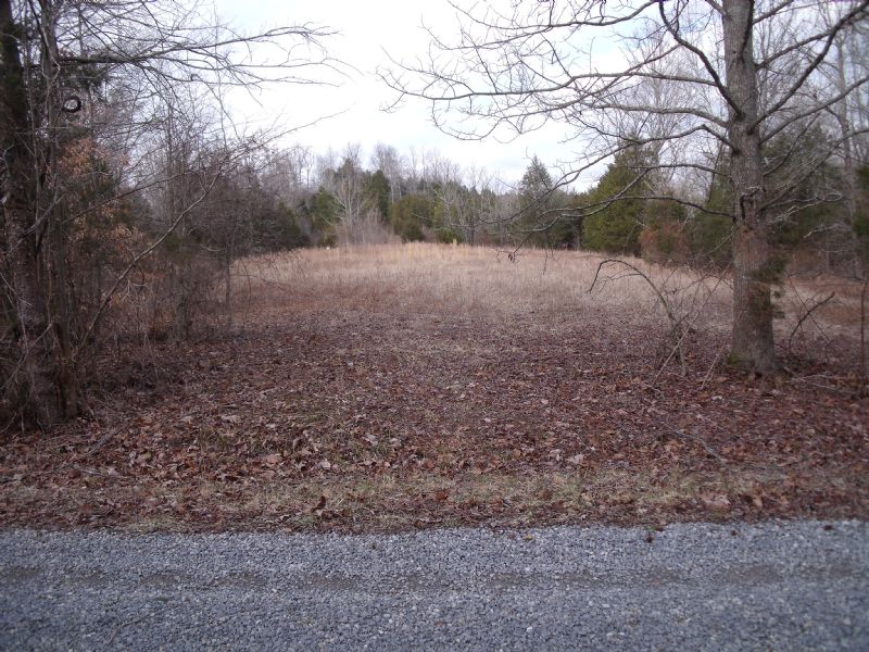 Secluded Residential Lot : Edmonton : Metcalfe County : Kentucky
