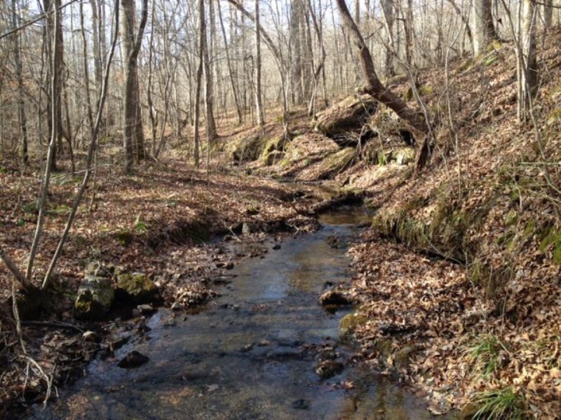 Creek and Waterfalls : Hohenwald : Lewis County : Tennessee