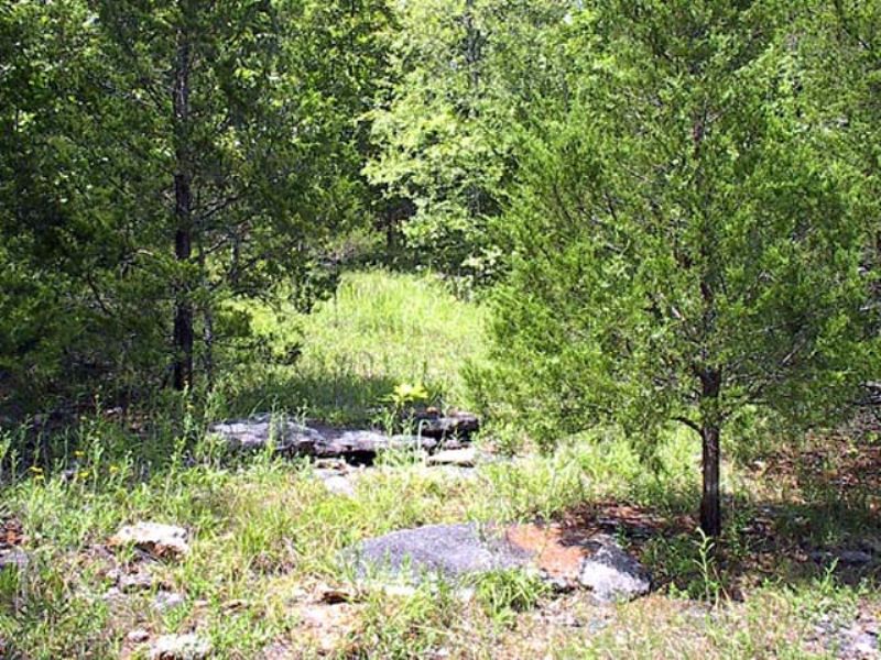 16 Acres with Small Creek - B : Ava : Douglas County : Missouri