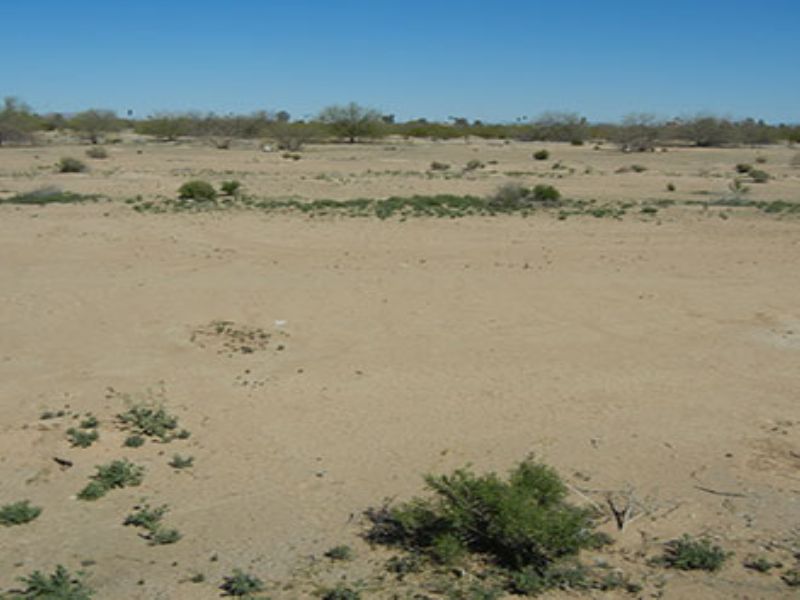 0.14 Acres Near Eloy : Eloy : Pinal County : Arizona