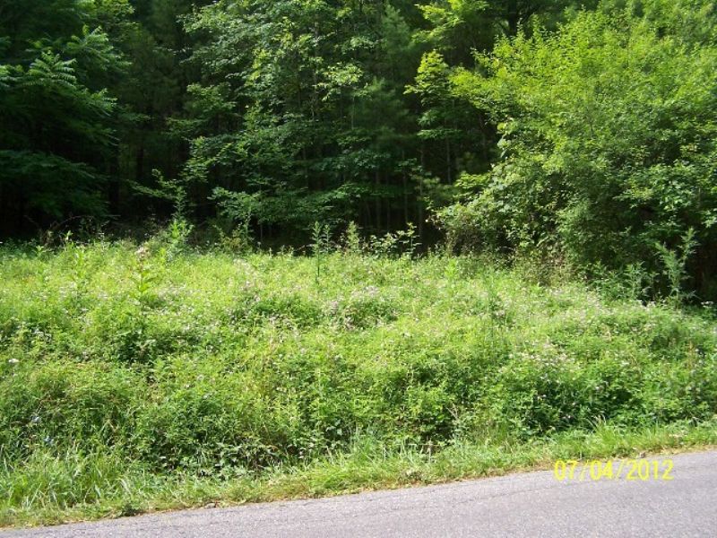Small Tract Joining National Forest : Fries : Grayson County : Virginia