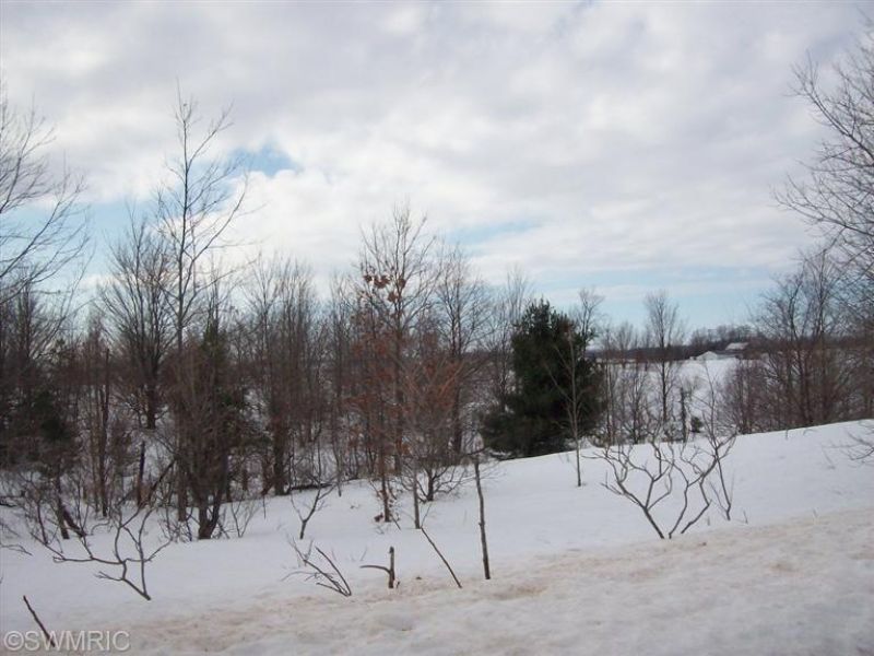 7.1 Acres : Shelby : Oceana County : Michigan