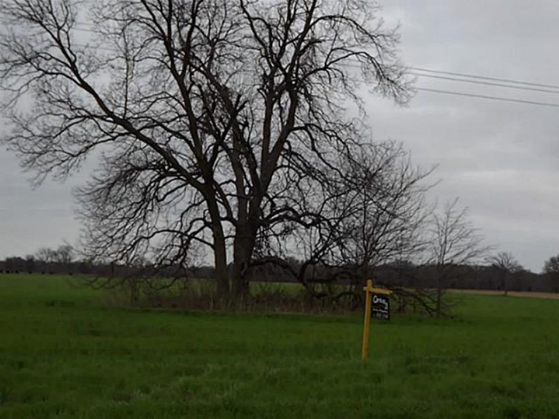 11+ Acres 12113912 : Ravenna : Fannin County : Texas