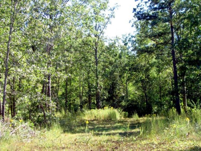 2.5 with Electric and A Shared Well : Birch Tree : Shannon County : Missouri