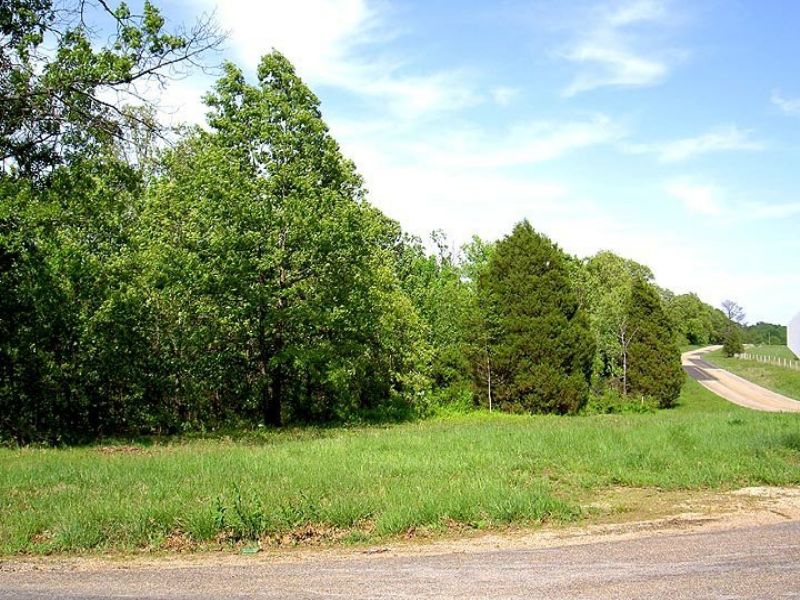 1.3 Acres Paved Road Nice Trees : Mountain View : Howell County : Missouri