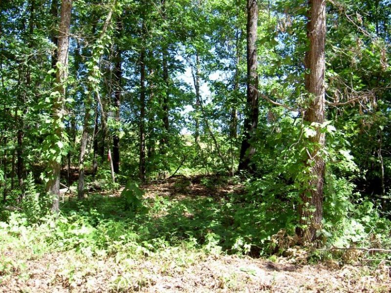 1.2 Acres with Electric : Date : Howell County : Missouri