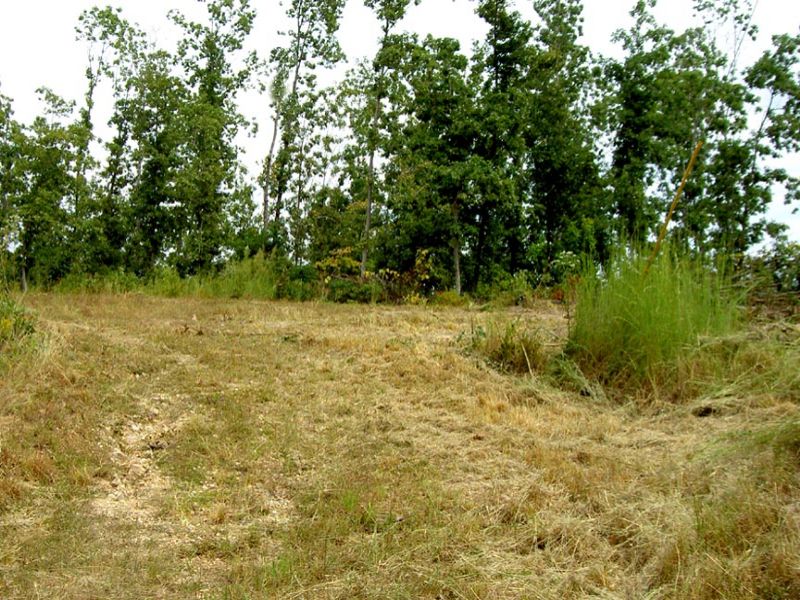 18 Acres Near Trout Hatchery : Jadwin : Dent County : Missouri