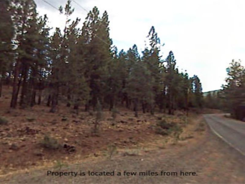 1.00 Acre Near Alturas : Alturas : Modoc County : California