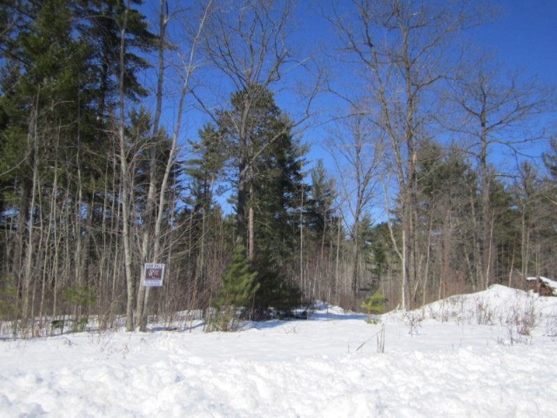 6+ Acres in Arbor Vitae : Arbor Vitae : Vilas County : Wisconsin