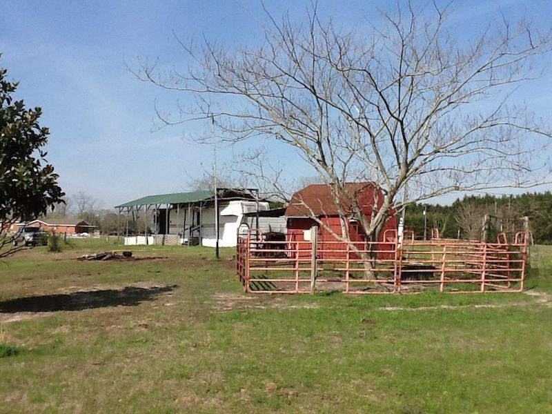El Bethel Road Tract : Luverne : Crenshaw County : Alabama