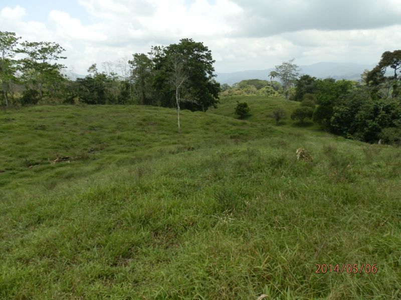 Scenic View 18 Acre Cattle Ranch : Turrialba : Costa Rica
