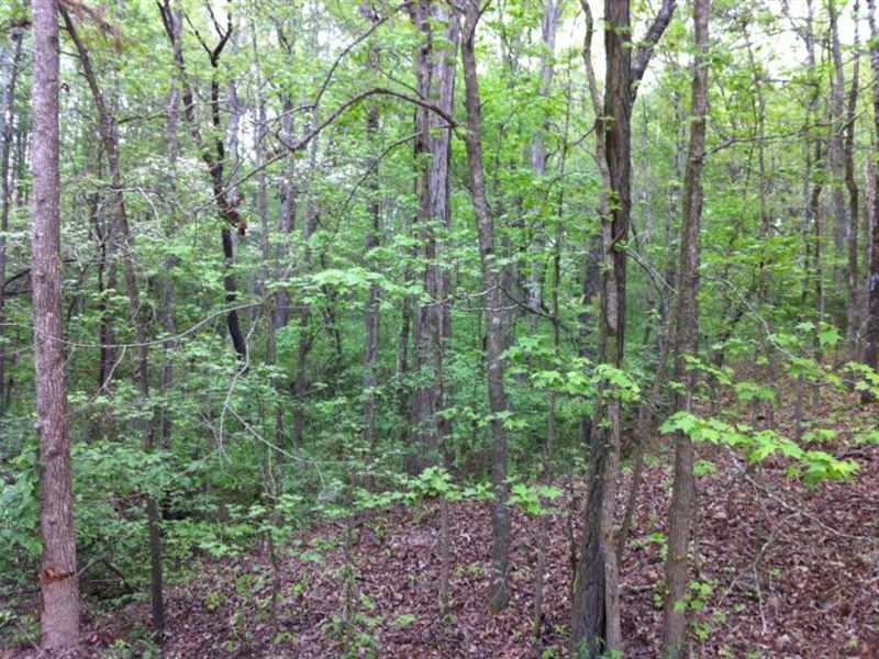 Bear Creek Farms, 2.50 Acre Lot : Mansfield : Jasper County : Georgia